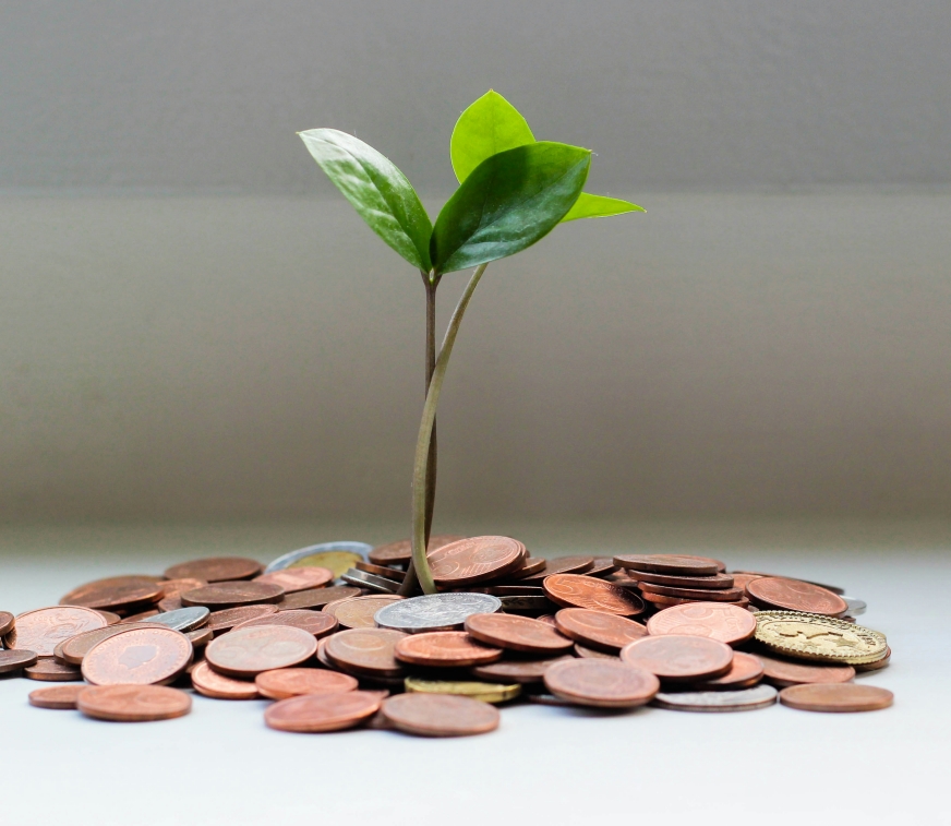 7 Passive Income Ideas for Beginners To Start Now